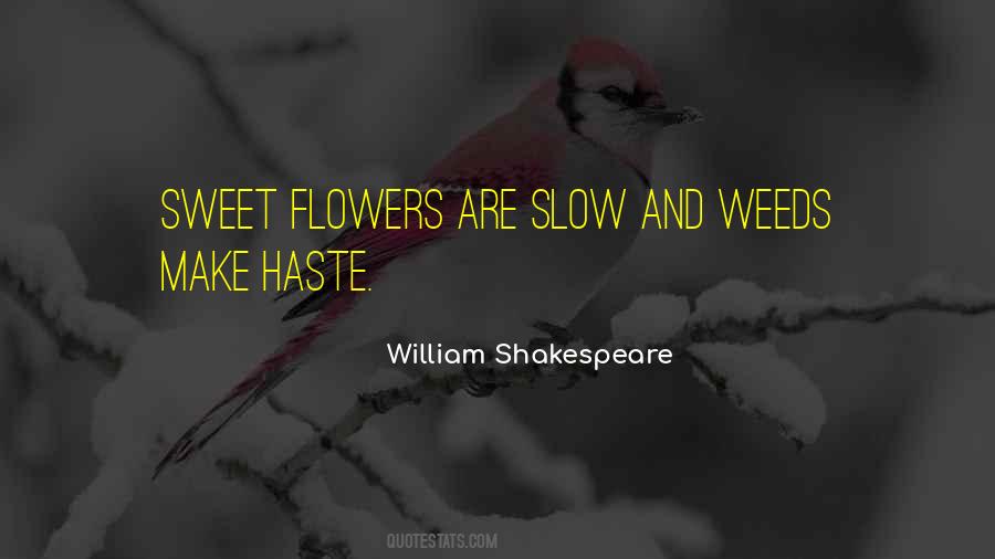 Quotes About Shakespeare Haste #1649189
