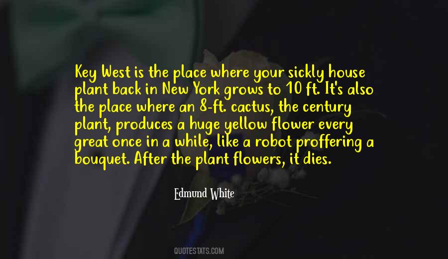 Quotes About A Yellow Flower #1879374