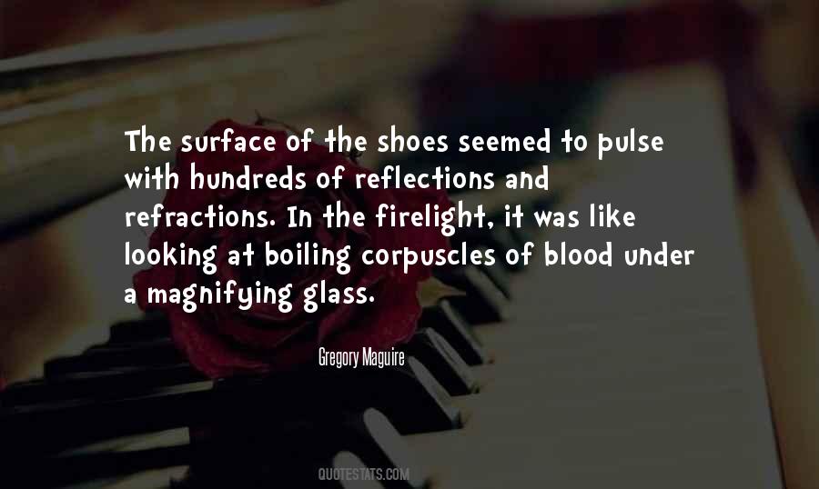 Quotes About Reflections #1012199