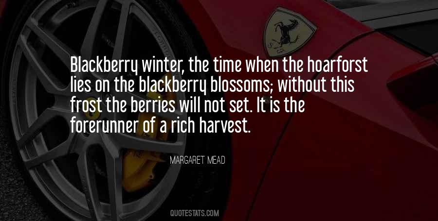 Quotes About Winter Frost #396763