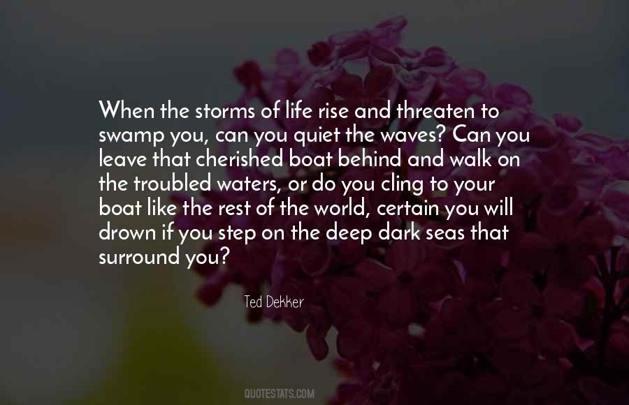 Quotes About Storms Of Life #624885