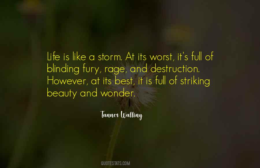 Quotes About Storms Of Life #625782