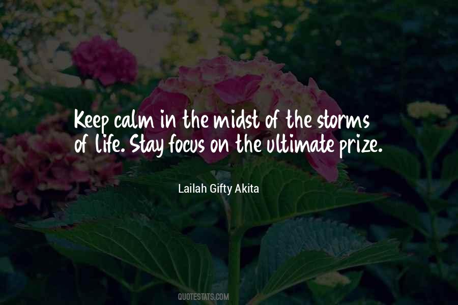 Quotes About Storms Of Life #741717