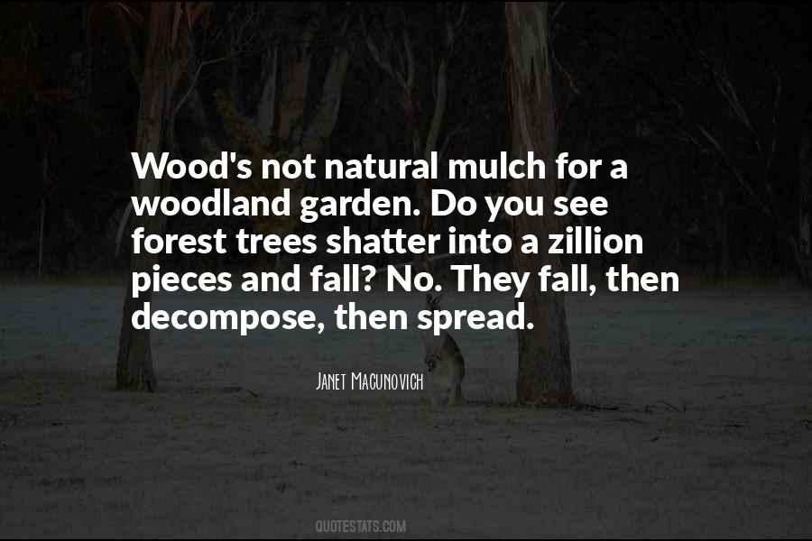 Trees Forest Quotes #123656