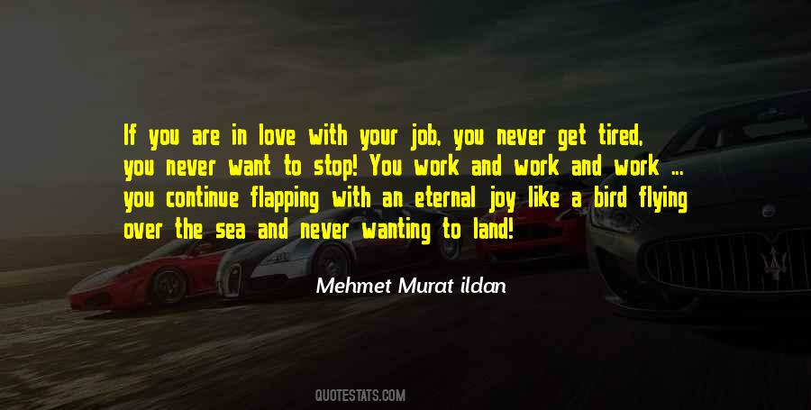 Quotes About Joy In Work #417879