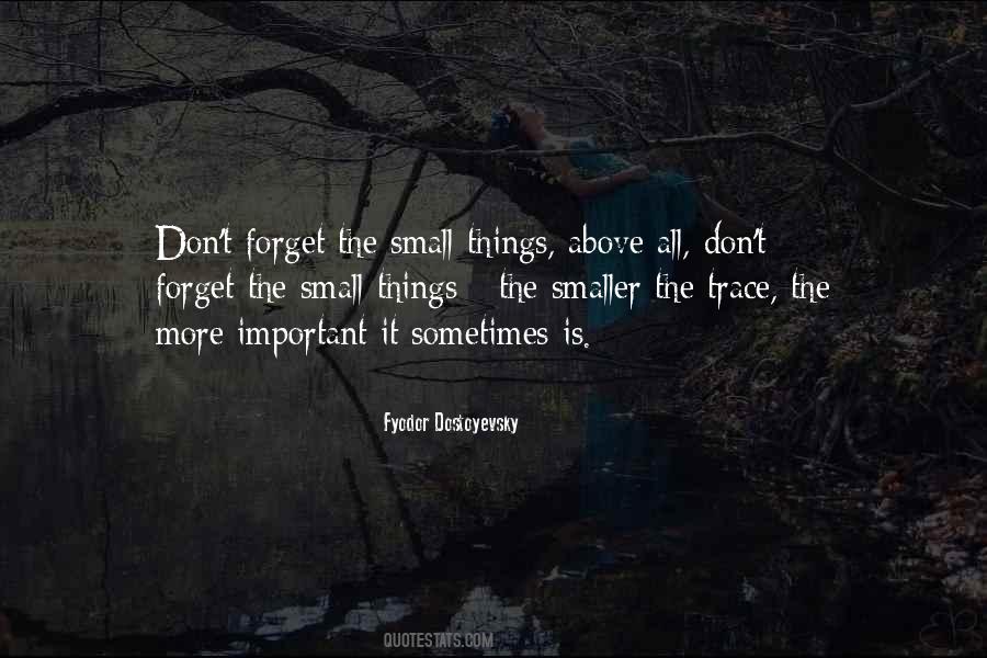 Quotes About Letting A Good Thing Pass You By #600993
