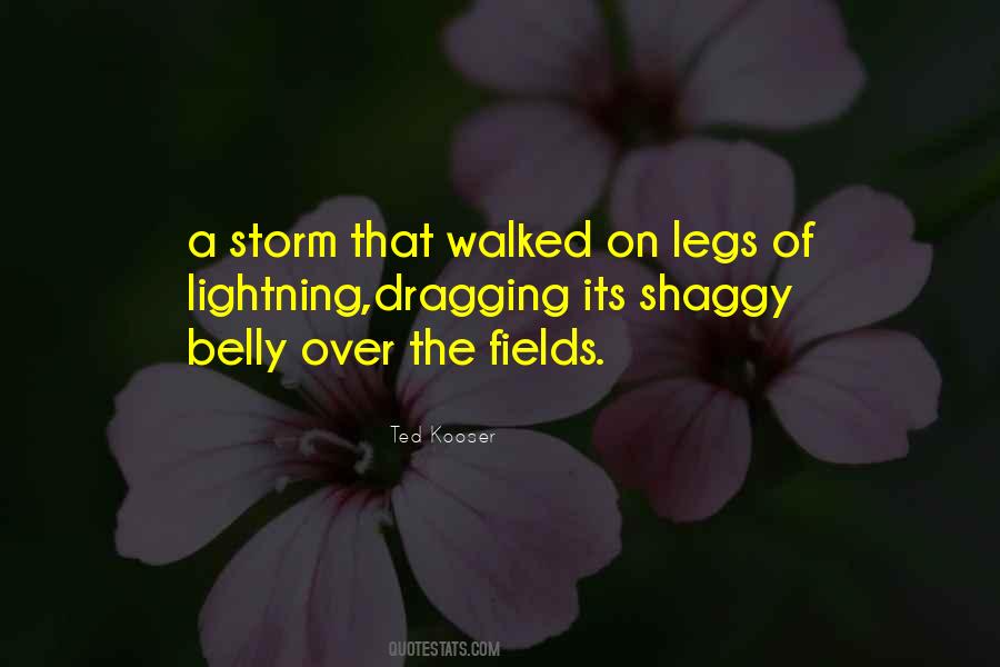 Quotes About Shaggy #78278