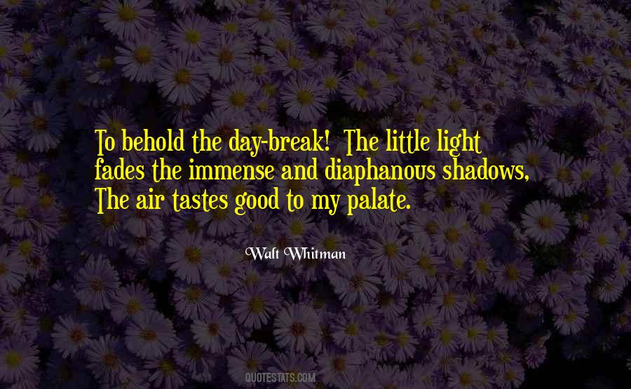 Quotes About Shadows And Light #567180