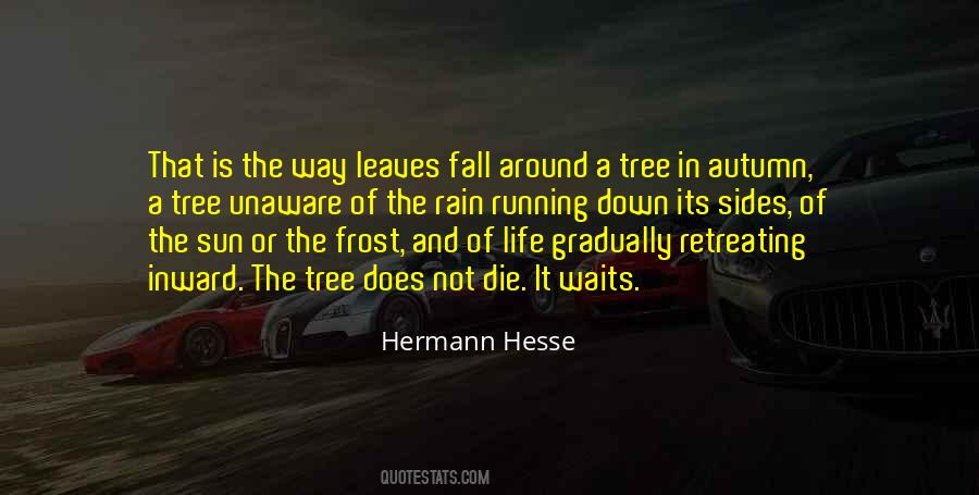 Autumn Of Life Quotes #1698097