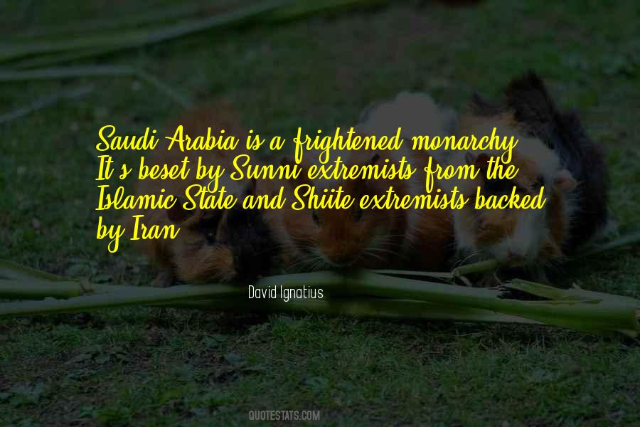 Quotes About Islamic Extremists #917854