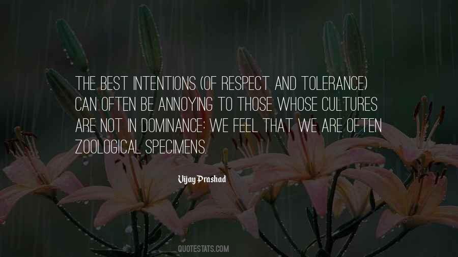 Quotes About Tolerance And Respect #500363