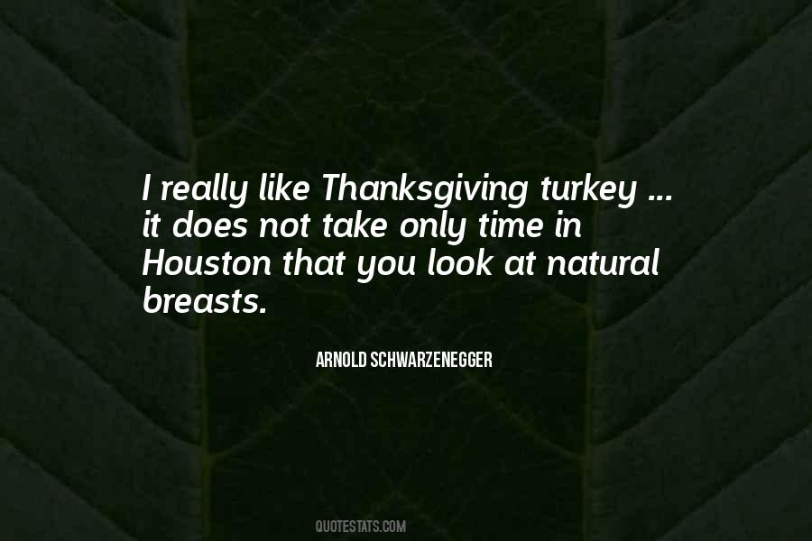 Turkey Like Quotes #21873