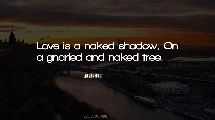 Quotes About Shadow And Love #963693
