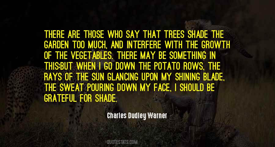 Quotes About Shade Trees #1261918