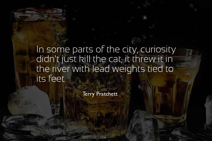 Quotes About Cat Curiosity #1363843