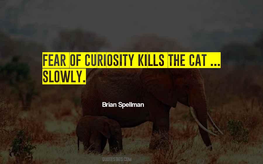 Quotes About Cat Curiosity #1406182