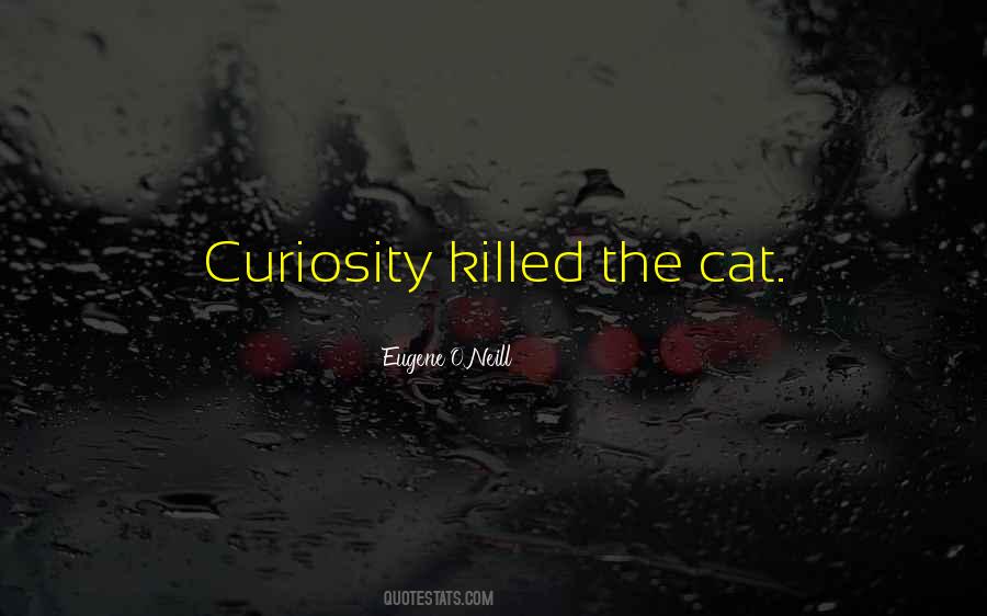 Quotes About Cat Curiosity #304272