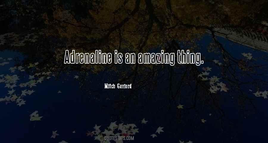 Female Hero Quotes #512916