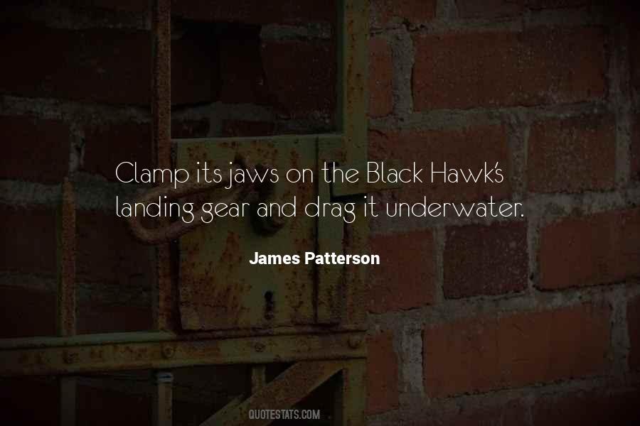 The Hawk Quotes #133722