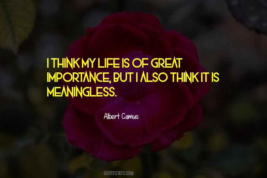 Life Is Meaningless Quotes #72985