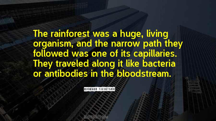 Quotes About Rainforest #1357339