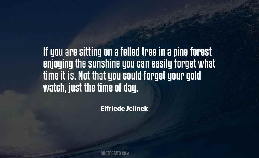 Quotes About Sitting In A Tree #1494551