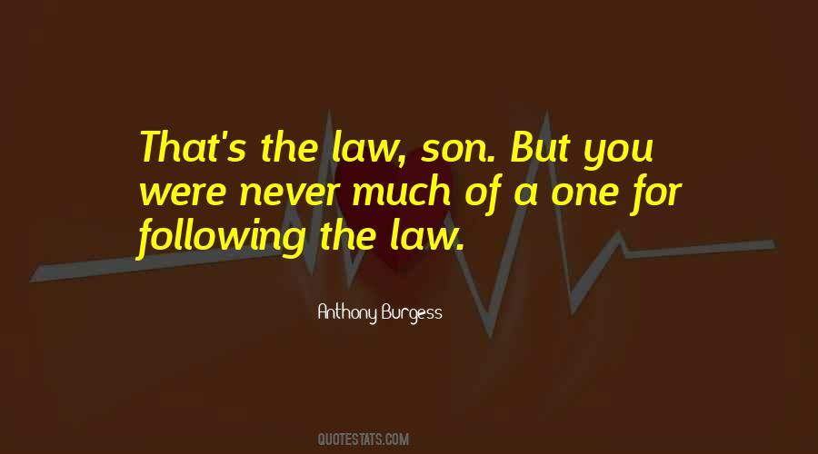 Quotes About Following The Law #1075777