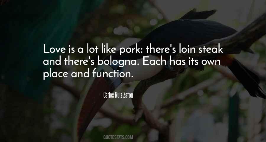 Quotes About Function #1647294