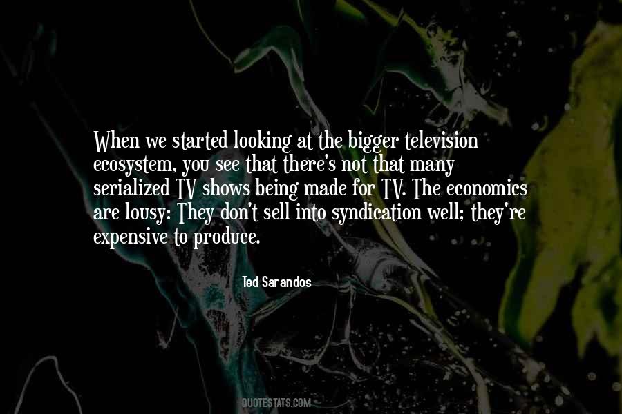 Serialized Television Quotes #336029
