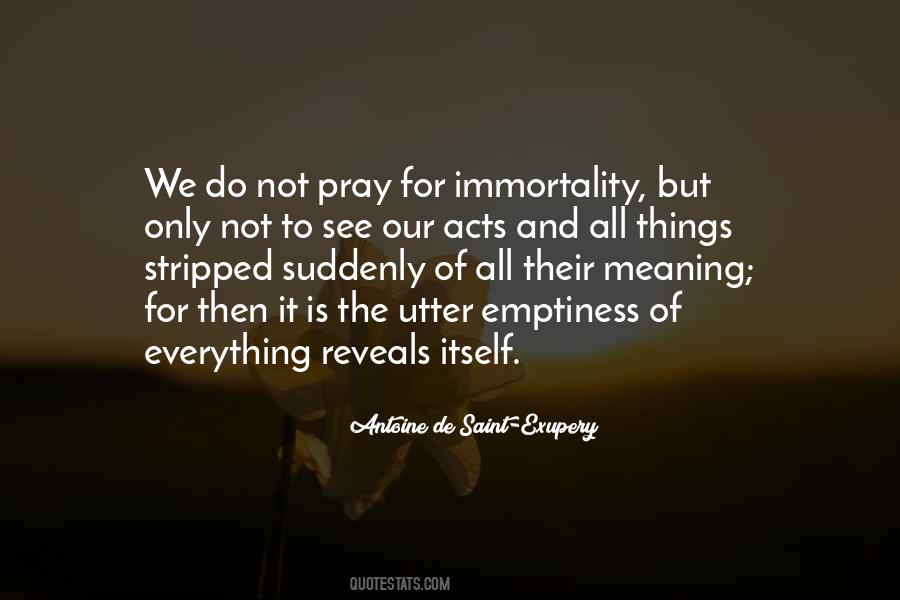 Meaning Of Things Quotes #521607