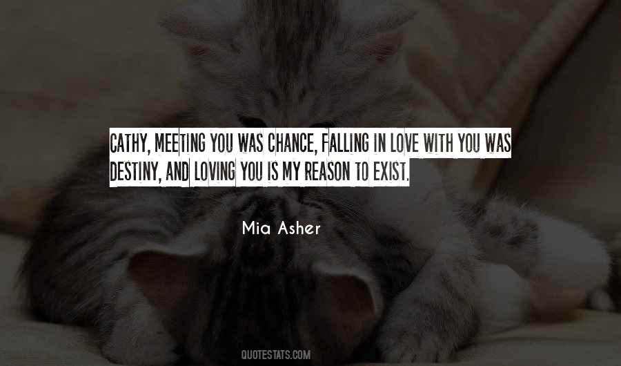Quotes About Meeting Your Destiny #1424612