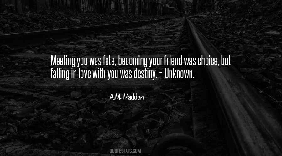 Quotes About Meeting Your Destiny #1707728