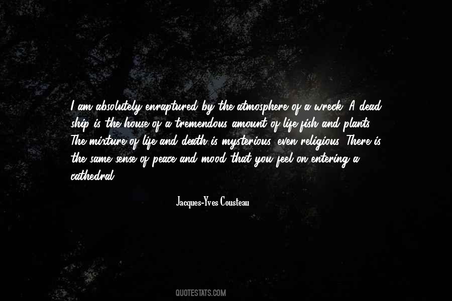 Life Is Mysterious Quotes #1426305