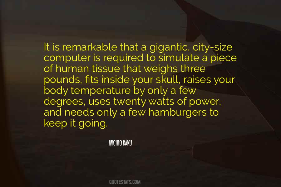 Quotes About Snowbirds #1864671