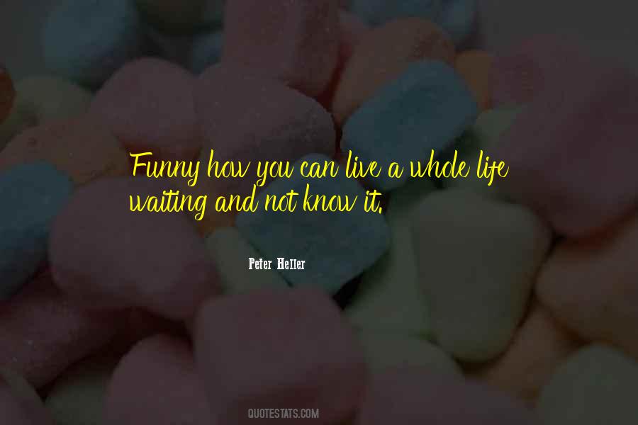Movie Poster Quotes #228399