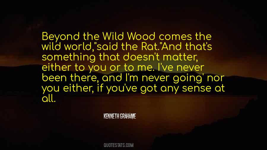 Wild World Quotes #169991