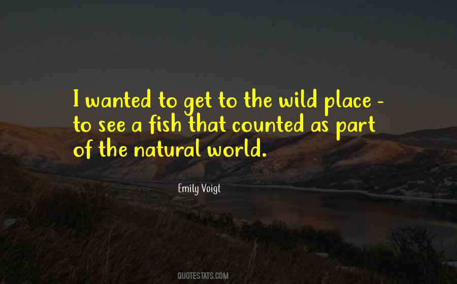 Wild World Quotes #351377