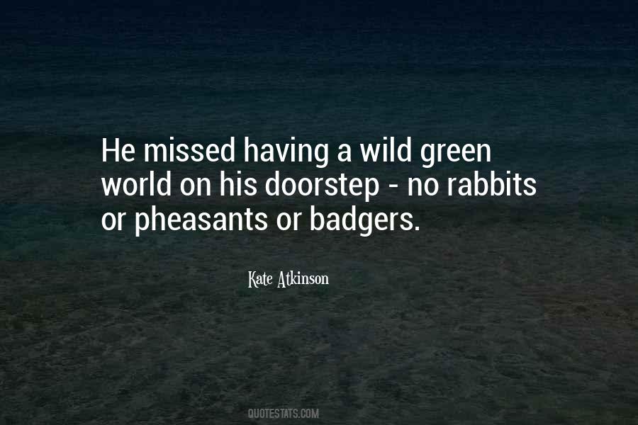 Wild World Quotes #360662
