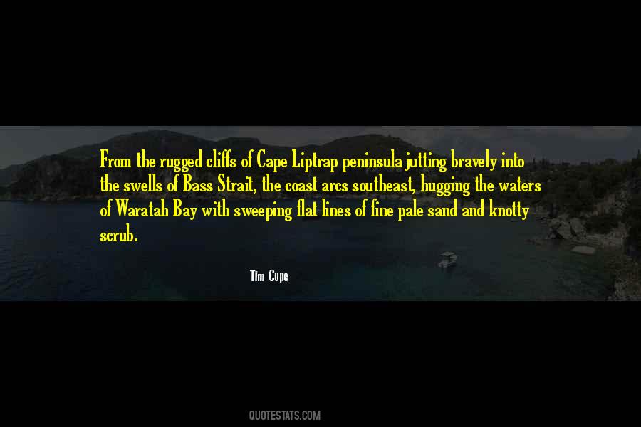 Teiichi Suzuki Quotes #1301015