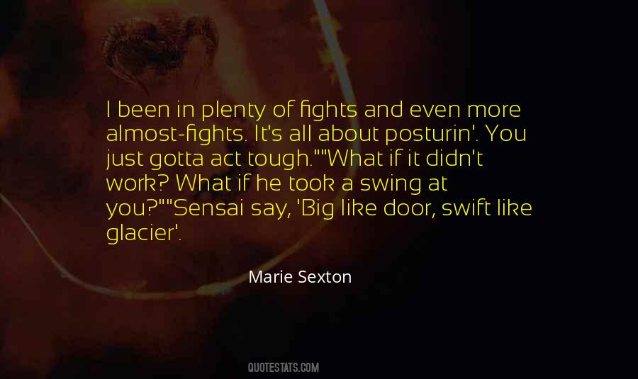 Quotes About Fights #188685