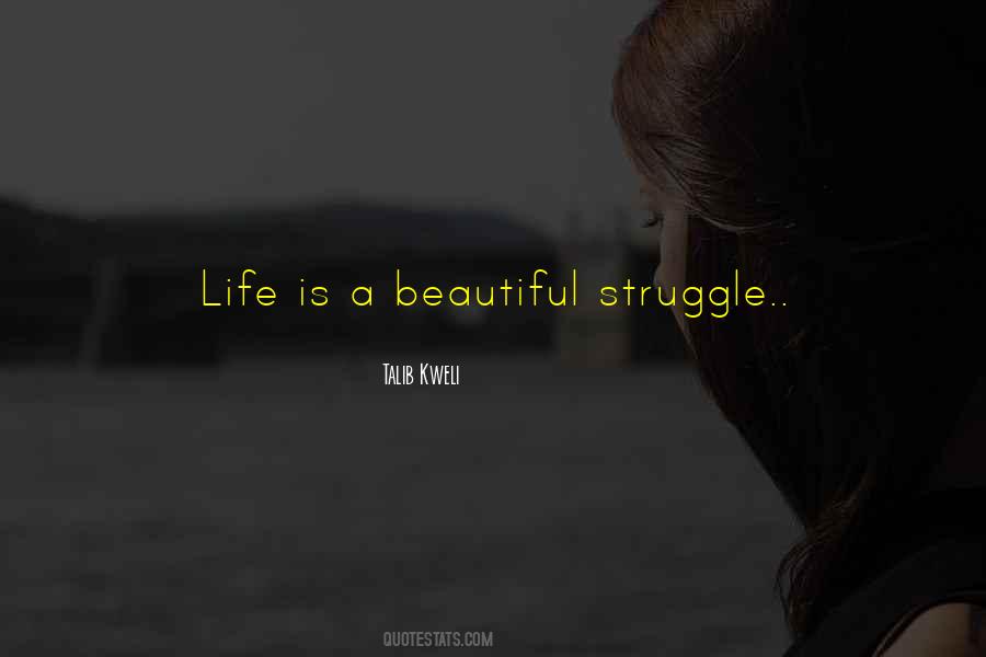 Quotes About Life Is A Beautiful Struggle #442216