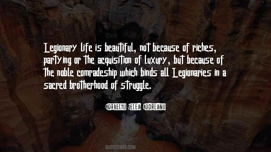 Quotes About Life Is A Beautiful Struggle #624259
