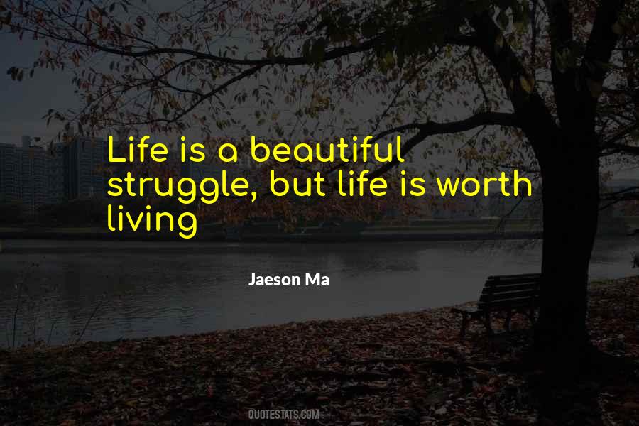 Quotes About Life Is A Beautiful Struggle #802552