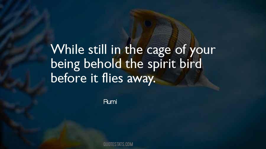 Quotes About Bird Cages #107239