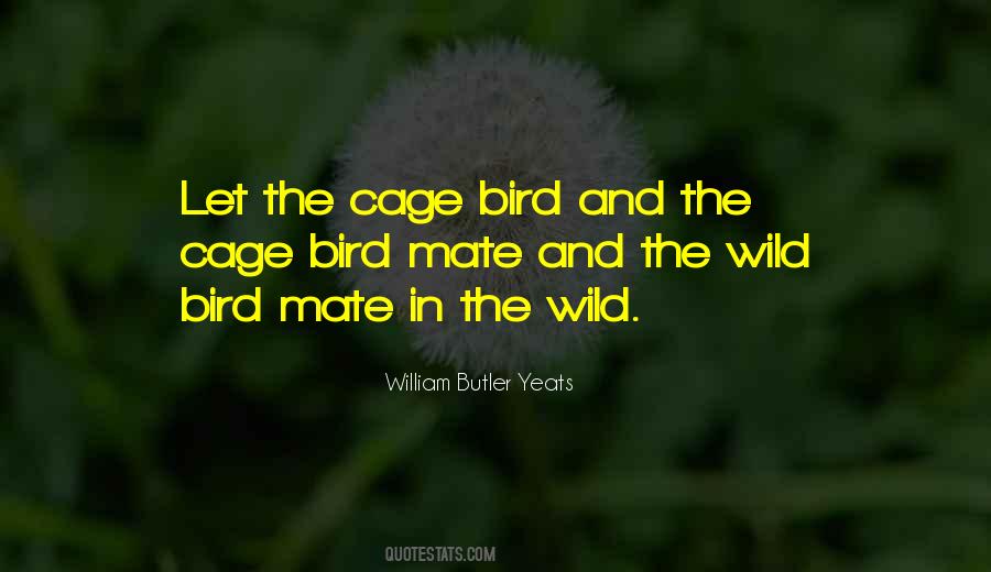 Quotes About Bird Cages #1169538