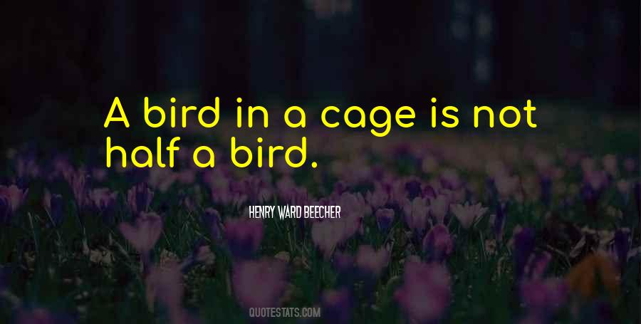 Quotes About Bird Cages #480802