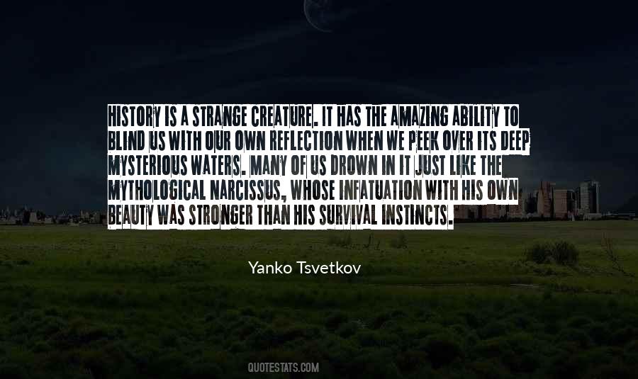 Quotes About Our Own Reflection #1598680