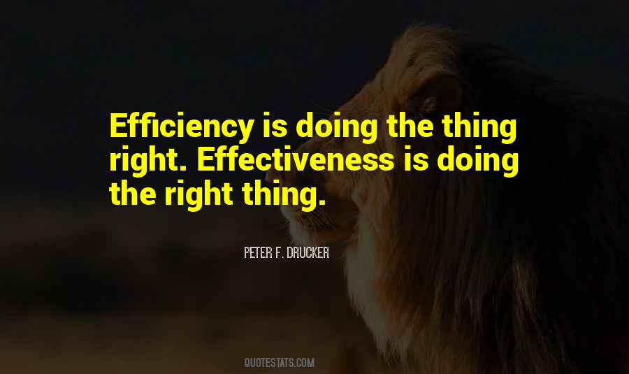 Quotes About Efficiency And Effectiveness #600288