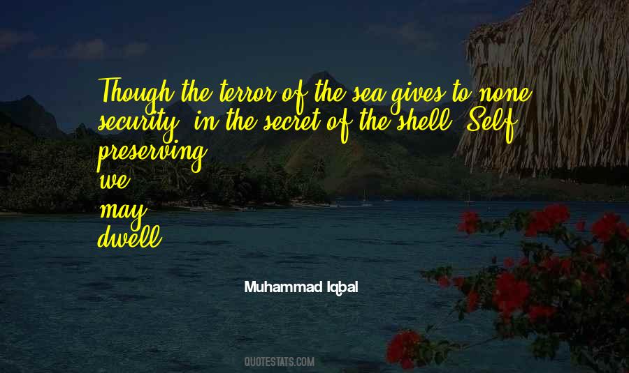 Sea Shell Quotes #1597144
