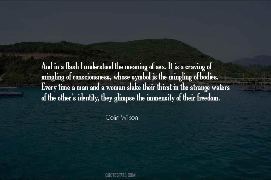 Meaning Of Freedom Quotes #1832610